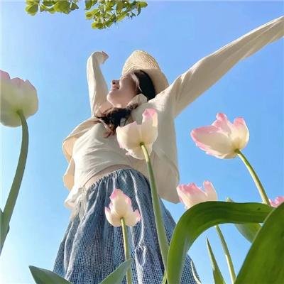解构生活 在线观看