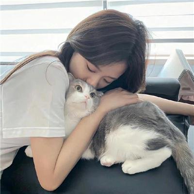 网红养成记国语 在线观看